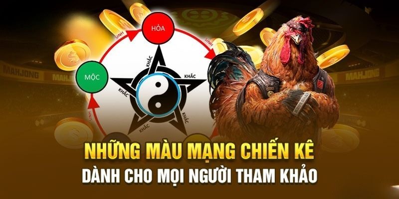 Khám phá 5 mệnh của gà chọi từ chuyên gia lâu năm 