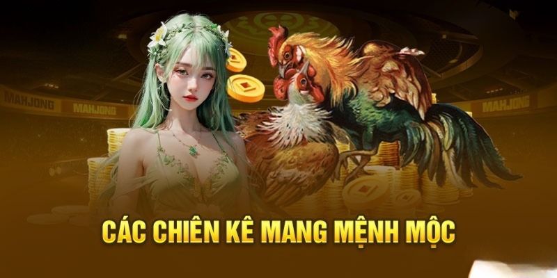 Cách xem màu mạng gà đá cựa sắt cực hay theo ngũ hành