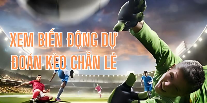 Tìm hiểu những biến động của trận đấu để đặt cược chuẩn hơn