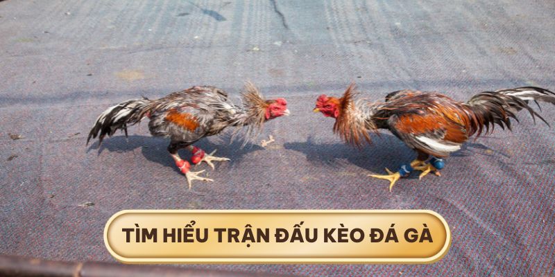 Tương quan trận đấu được thể hiện rõ nét qua phong độ trước đó