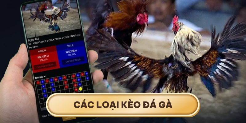 Các hình thức cược có mức thưởng hấp dẫn với mọi thành viên