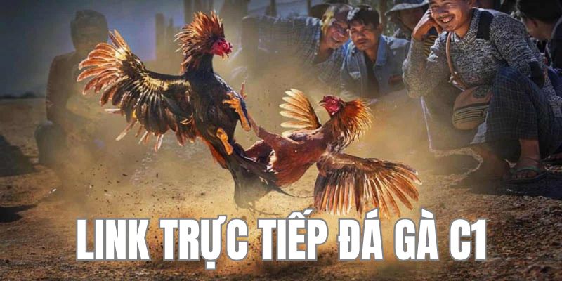 Link trực tiếp đá gà C1 chất lượng cao