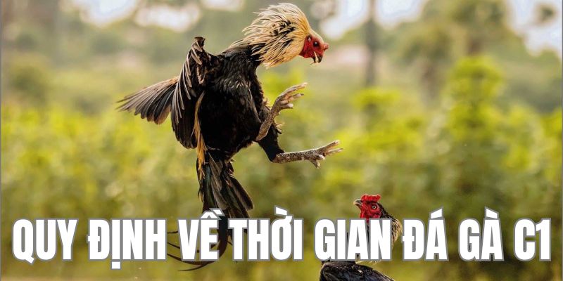 Thời gian ra sân theo quy định của thần kê