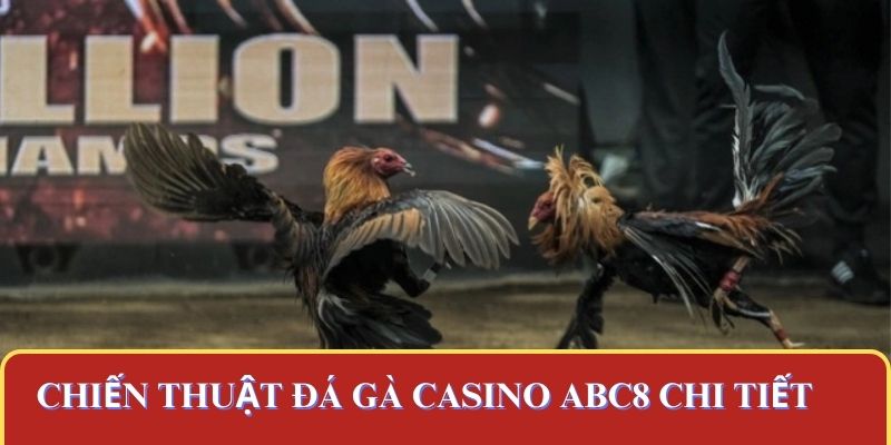 Chiến thuật đá gà casino ABC8 chi tiết