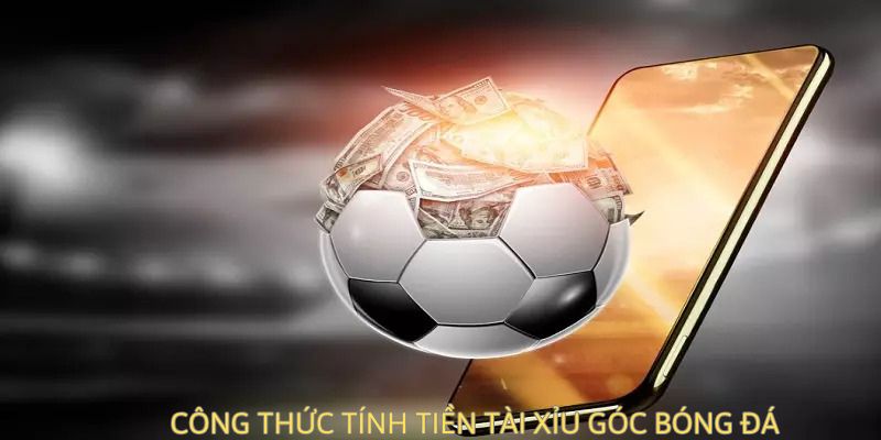 Hướng dẫn tính tiền khi chơi cá cược cho người mới