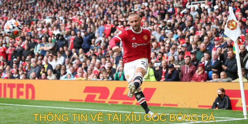 Một số thông tin cần nắm khi chơi tài xỉu góc bóng đá